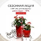 Акция до 29 декабря