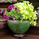 Вазоны для цветов 