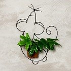 Настенные цветочницы. Новые модели 