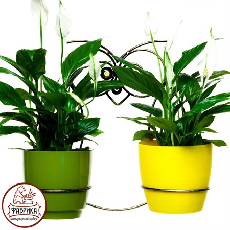 Настенная подставка