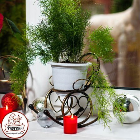 Цветочница на окно