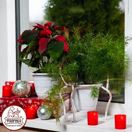 Подставка для цветов на окно