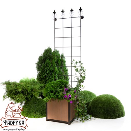 Шпалера для растений