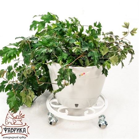 Подставка для цветов на колесиках