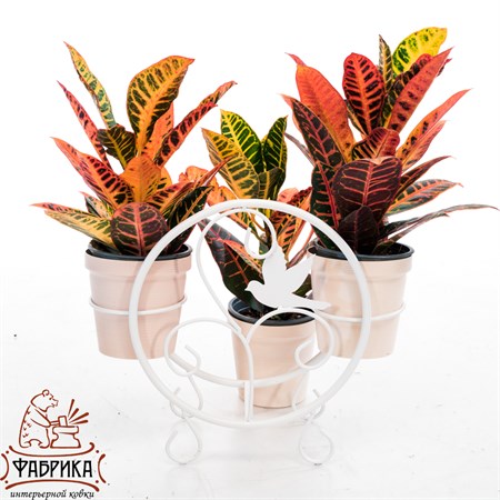 белая подставка для цветов