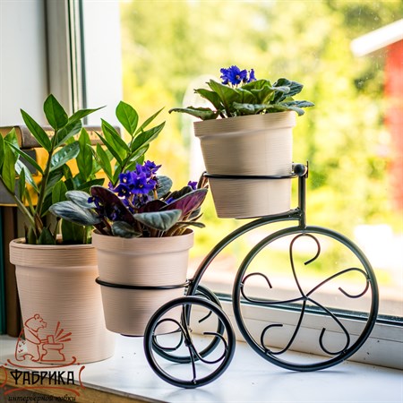 цветочница велосипед