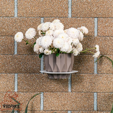 для растений