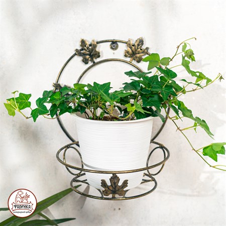 Подставка для цветов 15-101 настенная - фото 32991