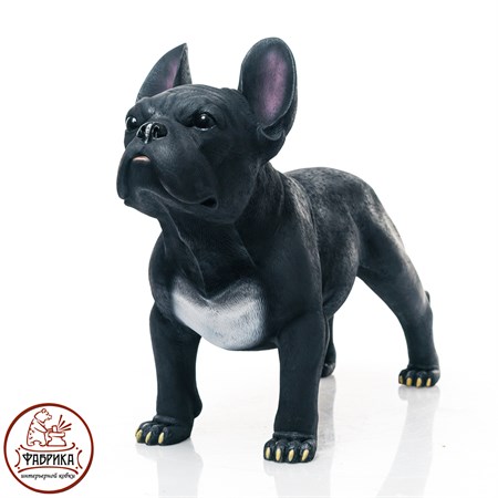 французский бульдог