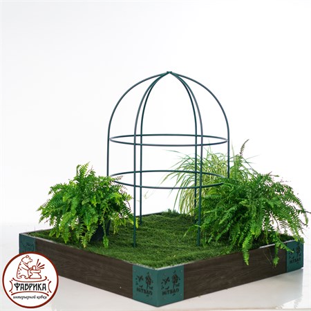 для развития растений