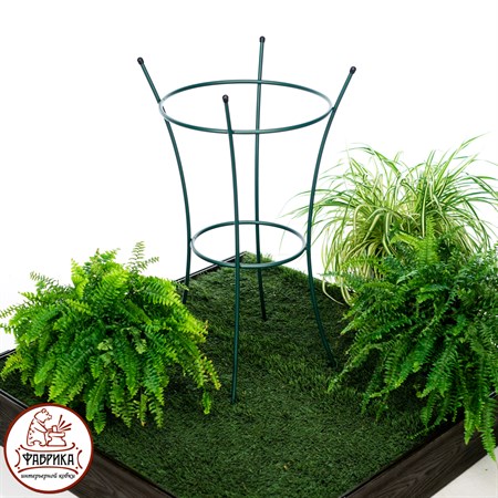 для развития растений