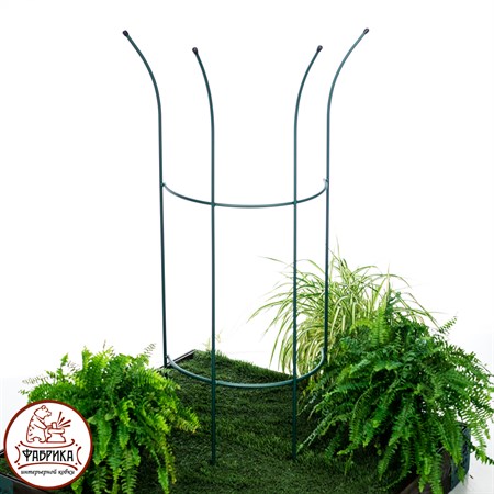 для растений