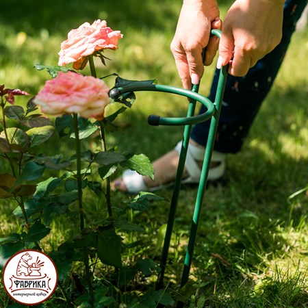 для поддержки цветов