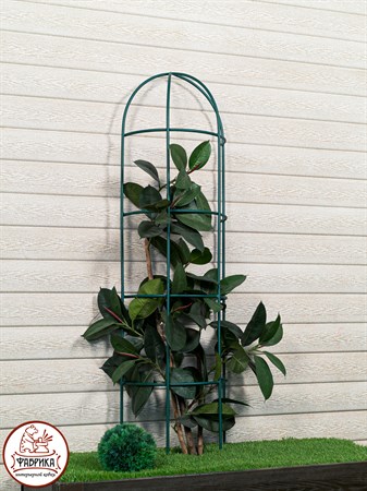 опора для садовых растений