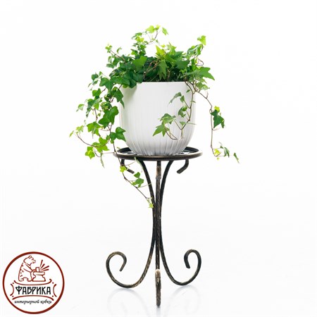 для одного растения