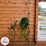 Шпалера для растений 57-009