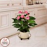 Подставка для цветов 12-006 Подставка для цветов 12-006
