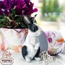 Фигура для фотозоны Фигура для фотозоны
