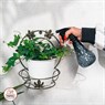 Подставка для цветов 15-101 настенная - фото 32989 Подставка для цветов 15-101 настенная - фото 32989