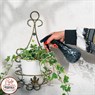 Подставка для цветов 15-021 настенная - фото 32996 Подставка для цветов 15-021 настенная - фото 32996